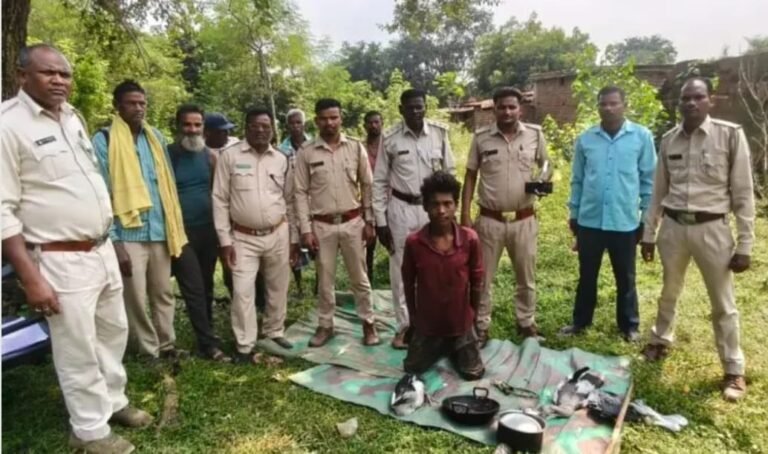 कोरबा में संरक्षित पक्षी घोंघिला का शिकार, वन विभाग ने आरोपी युवक को पकड़ा