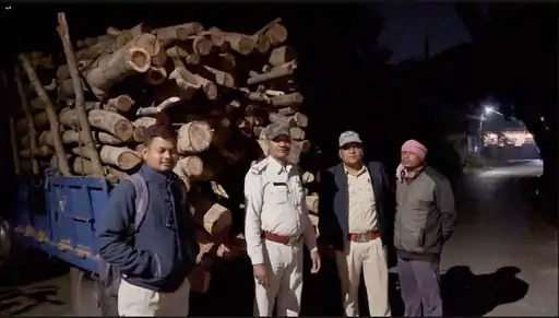 रायगढ़ में लकड़ी का अवैध परिवहन करते दो वाहन पकड़ाए, बिना कागजात कर रहे थे परिवहन