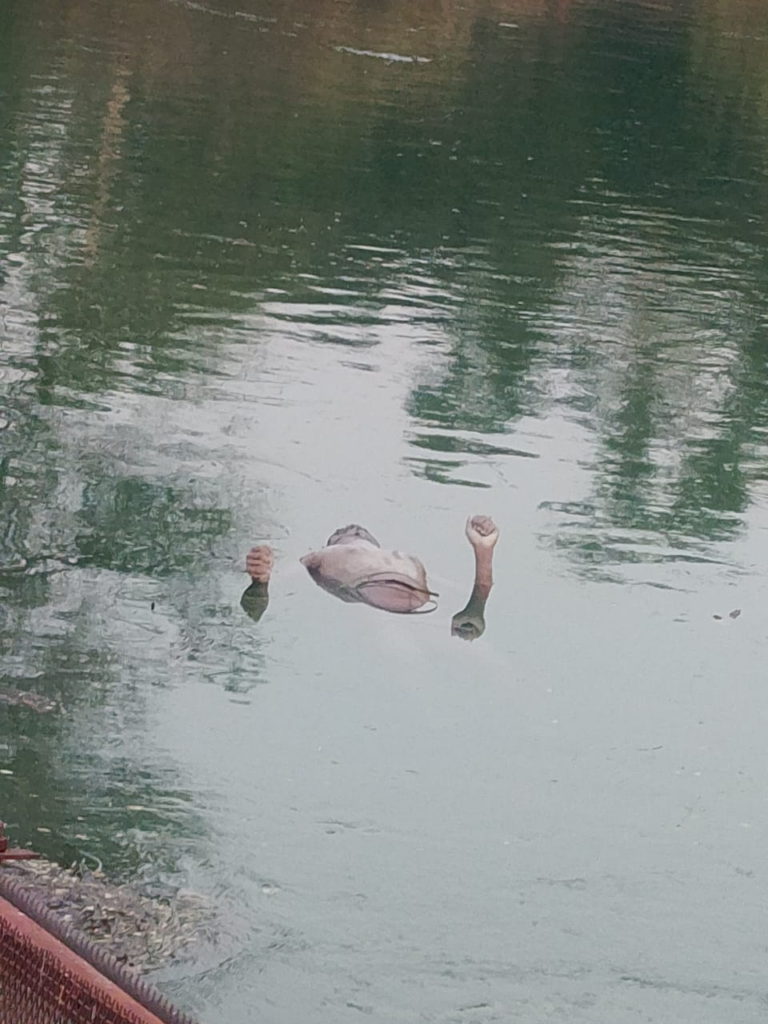 CSEB POWER PLANT DARRI हसदेव केनल में अज्ञात युवक की शव बरामद देखे वीडियो