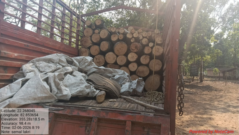सनसनीखेज खुलासा: कोरबा में वन विभाग का महा-ऐक्शन! आधी रात के अंधेरे में तस्करी का खेल नाकाम, टीम ने घेराबंदी कर पकड़ी सेमर लकड़ियों से लदी गाड़ी!