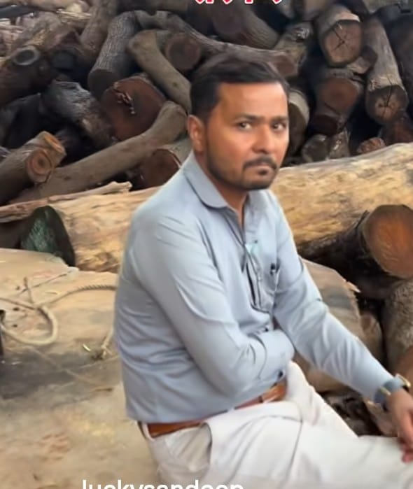 ब्रेकिंग न्यूज़ महाघोटाला: कोरबा से ‘करोड़ों’ की बेशकीमती साल की लकड़ियां पार, रायपुर के आरा मिल में रेड से खुला तस्करी का बड़ा खेल