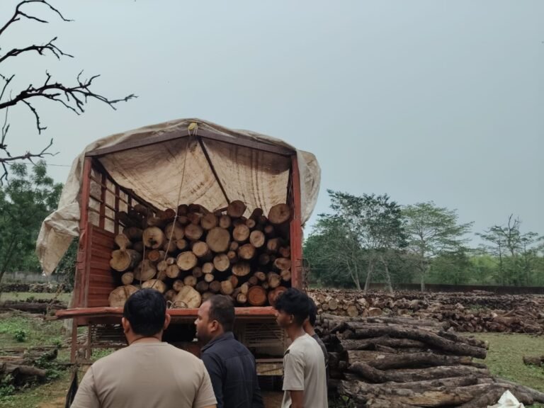 ब्रेकिंग न्यूज़: कोरबा वन विभाग की ताबड़तोड़ कार्रवाई;