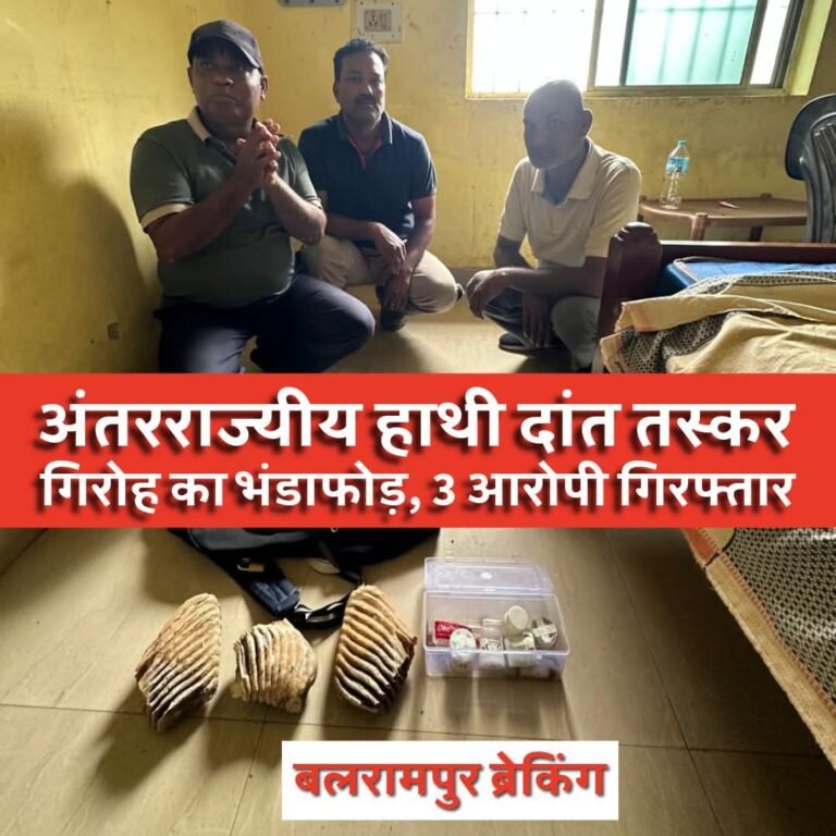 बलरामपुर में हाथी दांत तस्करी गिरोह का भंडाफोड़, धर्मशाला में छापेमारी कर 3 हाथी दांत बरामद; 3 आरोपी गिरफ्तार