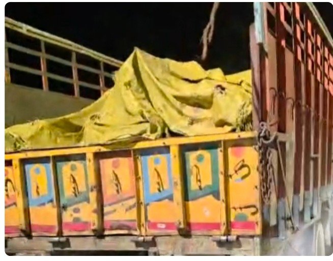 दिन में खरीद-भंडारण, रात में परिवहन की कथित रणनीति? सर्वमंगला मार्ग पर ट्रक का वीडियो सामने आने से उठे सवाल