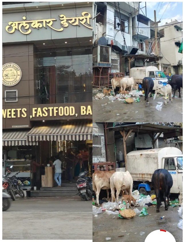 मुख्य मार्ग के किनारे कचरे का ढेर, अलंकार डेयरी के आसपास सफाई व्यवस्था पर उठे सवाल