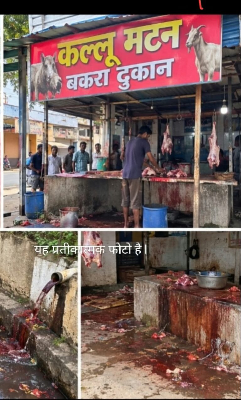 मानिकपुर में कल्लू मटन दुकान के खिलाफ फूटा वार्डवासियों का गुस्सा, आयुक्त व कलेक्टर से तत्काल दुकान हटाने की मांग l